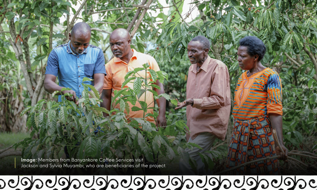 Building Resilience of Coffee Farmers in western Uganda through ...