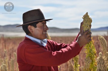 Image for Andean Naturals