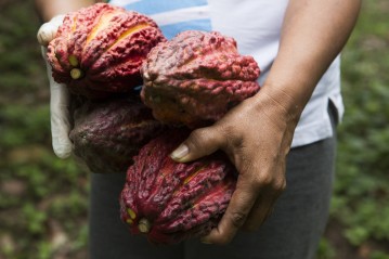 Image for Acopagro