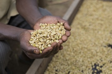 Image for Twongere Kawa Coko