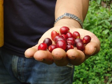 Image for AgroAndino