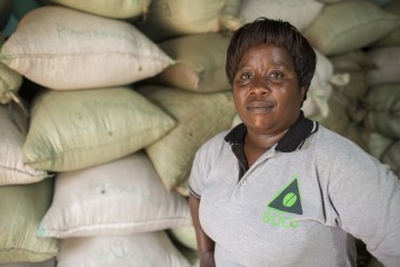 Mrs. Josinta Kabugho is the General Manager of Bukonzo Organic Farmers Cooperative Union Ltd, a fair trade coffee producer financed by Shared Interest and headquartered in the town of Kasese, Uganda. Mrs. Josinta Kabugho is the General Manager of Bukonzo Organic Farmers Cooperative Union Ltd, a fair trade coffee producer financed by Shared Interest and headquartered in the town of Kasese, Uganda.