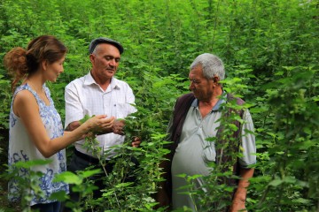 Lemberona CoFounder Elmira Bertagnoli In a field of organic Fairtrade blackcurrants with Rustam Rahimov and Ergashov Bozorboy from smallholder farming group Turob Bobo