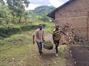 Image for INCREASING THE RESILIENCE OF COFFEE FARMING