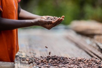 Simplice Chigbo, West Africa (Côte d'Ivoire)